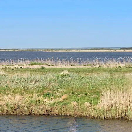 C11322-tarm-sivsangervaenget-49