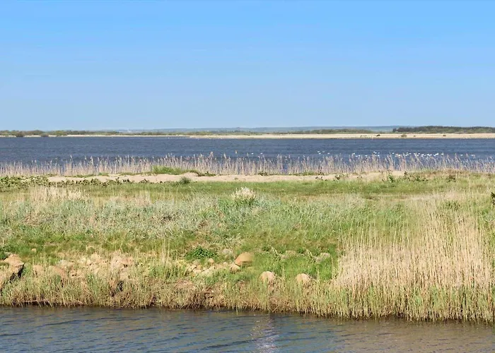 C11322-tarm-sivsangervaenget-49